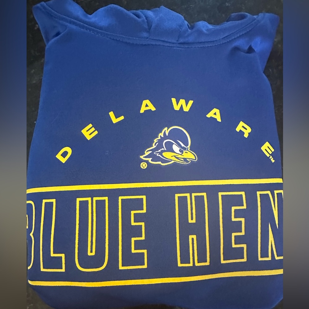 University of Delaware Youth Medium hoodie - Picture 2 of 5